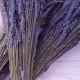 SALE Lavender Dried 2.5 oz bunch 200 Stems bundle 2018 Fragrant bouquets, crafts weddings Grosso English dried lavender bundle best seller