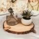 Set of 10 - 11 inch wood slices for rustic wedding centerpieces!