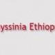 Abyssinia Ethiopian Menu, Prices And Locations
