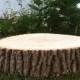 10 8-10"  Rustic Wood Tree Slices Woodland Wedding Decor SOURWOOD Disc Log Round Centerpieces