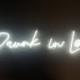 Drunk in Love Neon LED Sign - Select your Color and Size.