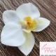 Ivory Orchid Hair clip, Wedding Accessories, white phalaenopsis orchid Headpiece