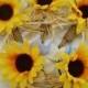 Burlap Sunflower Boutonniere, Woodland Wedding, Silk, Rustic, Groom, Groomsmen Buttonhole Flower, 1 Lapel Pin Made to order