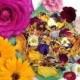 Organic Edible Flower, Culinary Decor/Cake Topper/Calendula/Cornflower/Rose Petal/Lily/Daisy/Pansy/Dianthus/Tulip....