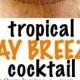 This Easy To Make Tropical Bay Breeze Cocktail Is A Taste Of The Tropics With Flavors Of Pineapple And Coconut Rum. (Plus The Easy… 