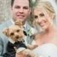 Couple   Wedding Pet Tuxedo - Wedding Pet Outfits  {An Inspired Affair} 