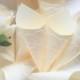 Confetti Cones, Ivory Petals Holders,  Wedding Confetti Cones, 10 Confetti Cones, Ivory Wedding Decor, Ivory Confetti Cones