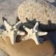Small SET of White Knobby Starfish Hair Clips *limited time SALE!*