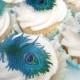 Edible Teal Blue Peacocks Feathers Cupcakes Size  Collection Set of 12
