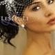 Leslie Li Pearl Crystal Sprays and Birdcage Veil Bridal One Size Ivory 27-515
