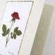 Pressed Flower Card - Rose Card, Romantic Card, Wedding Card, Birthday or Anniversary Card, Real Red Rose, All Occasion Card