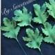 Gumpaste leaves on wires cake decorations