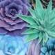 Succulents - Sold individually - Paper Succulent Plants - Colorful Succulents for Home Arrangements, Decor or Events - Rosette Succulents