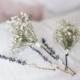 Baby's Breath Bridal Hair Pin Set, Lavender Hair Pins, Dried flowers Hair pins, Dried Flowers Hair accessory, Boho weddings, Natural Bride