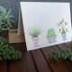 Set of Seven Handmade Succulent and Cactus My Wedding Would "succ" Without You Cards