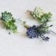 Succulent boutonniere wedding for guests boutonniere twine Fiance