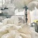 AAA white ostrich feathers 100PCS wholesale wedding party dance decoration feathers DIY clothing headdress feathers 15-80CM