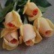 Champagne Real Touch Rose Buds DIY Wedding Centerpieces Silk Bridal Bouquets Artificial Flowers