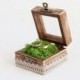 Rustic Wedding Ring Box With Moss - Glass Box, Ring Bearer Box For Ceremony, Wooden Wedding Box, Romantic Wedding, Wood Box With Glass Top