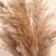 23.6" Large Feather Reed Grass, Decorative Plumes, Natural Dried Plumes, Pampas Reeds, Rustic Wedding, Pampas Grass Decor