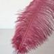 Burgundy Ostrich Feather Soft Plumes Accent for Wedding Centerpieces Home Decoration Pageant Boutiques Millinery Craft