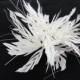 Coque Stripped Feather Feather Mount Wired Feathers Hat Trims for Millinery Fascinator Crafts Project 1 Piece