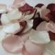 Burgundy Pink Blush Ivory Satin Rose Petals, Silk Wedding Flower Petals,  Artificial Petals, Maroon Ivory Pink Blush Fabric Petals