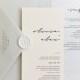 Translucent Vellum + Card Wedding Invitation with Choice of Envelope & Optional Wax Seal - SEE DETAILS BELOW...