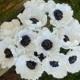 Anemone Wedding Bouquet - White Paper Anemone Blooms - Dozen Anemones - Anemone Flowers -  -  Custom Colors Available