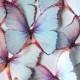 24 3D edible butterflies - shimmering cupcake toppers -wedding cake topper - 3D decorative butterflies white -iridescent by Uniqdots on Etsy