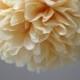 Butterscotch Tissue Paper Pom Poms- Wedding, Birthday, Nursery Decor, Party Decorations