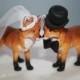 Wedding Cake Toppers; Fox Cake Toppers; Bride and Groom; Woodland; Custom; Topper; Animal Cake Toppers; Cute; Adorable; Unique; Bridal.
