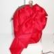 Vintage Red Evening Bag, Glamorous Red Handbag, Red Clutch Bag EB-0301