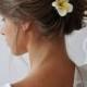 Plumeria Flower Hair clip Beach Wedding Hair piece Bride White Floral Headpiece Tropical Flower Bridal Hair  Real Touch Hawaiian Flower