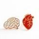 Heart & Brain Enamel Pin Badges, Romantic Stocking Filler Pins, Anatomical Heart Hard Enamel Pin, Brain Lapel Pin Badge, Collectable Pins
