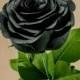 Black Paper Rose (Life Size) 