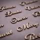 Wedding place card, laser cut names. Wedding place names, table name cards.