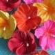 Royal Icing Hibiscus Flowers Many Colors and Sizes, Quantities