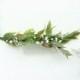 Greenery Hair comb / Babies breath comb / Green leaves Hair accessory / Bridal hair piece / Wedding Hair comb / Dried flowers comb