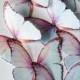 20 3D shimmering butterflies - iridescent white edible butterflies - frozen cake decoration - 3D edible butterflies by Uniqdots on Etsy