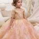 Blush Pink and Gold Flower Girl Dress - Birthday Wedding Party Holiday Bridesmaid Flower Girl Blush Pink and Gold Tulle Lace Dress 21-061
