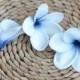 Navy Blue Center Plumerias Natural Real Touch Flowers frangipani heads DIY cake Toppers, Wedding Decorations