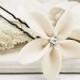 White Plumeria Crystal Hair Pin - Plumeria Wedding Hair Flower, Tropical Flower Bridal Hair Accessories- 2.5cm (1 inch)