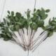 Floral hair pins Eucalyptus Flower headpiece 1 WEEK PROCESSING TIME  Wedding flower pins for hair Greenery hair pins Pink floral hair piece