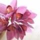Pale Magenta Boat Orchids Bouquet (FB0058-02) 