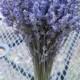 Dried Lavender (English) bundle / bunch  6-8 inches tall
