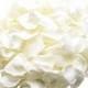 Ivory rose petals for wedding confetti / decoration. Ivory preserved rose petals, biodegradable (Small size)