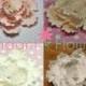Garden Peony Flowers - White, Pink, Ivory, Blush - Cake Toppers - Gumpaste Sugar Flowers