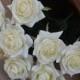 Ivory Cream Roses Real Touch Flowers Silk Roses DIY Wedding Flowers Silk Bridal Bouquets Wedding Centerpieces
