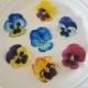 Edible Pansy Cake, Cupcake & Cookie Toppers - Wafer Paper or Frosting Sheet